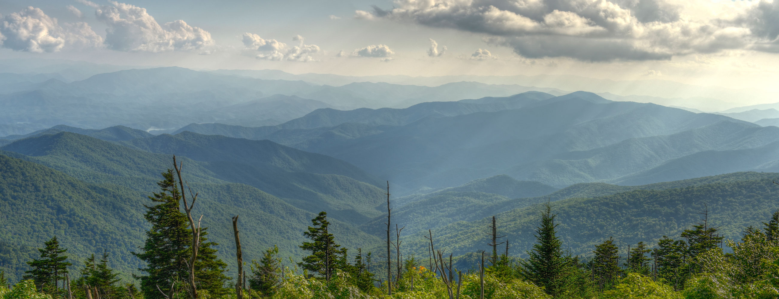 Maharaja Family Restaurant