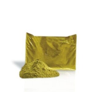 natural rajasthani mehndi 448