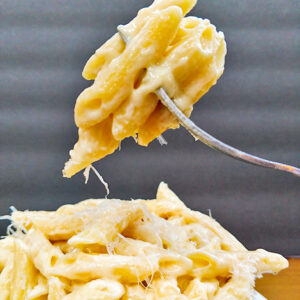 stove top macaroni and cheese on fork